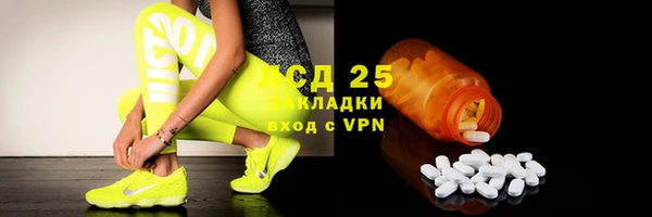 ПСИЛОЦИБИНОВЫЕ ГРИБЫ Алзамай
