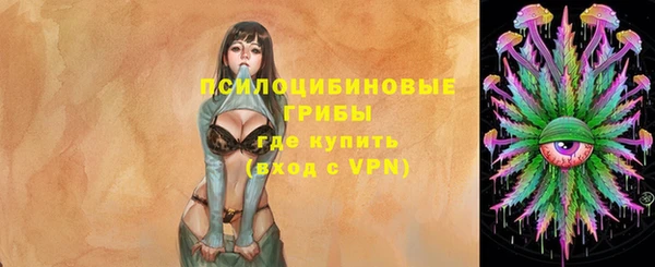 ПСИЛОЦИБИНОВЫЕ ГРИБЫ Алзамай