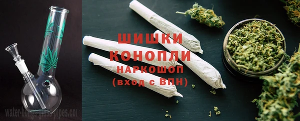 ПСИЛОЦИБИНОВЫЕ ГРИБЫ Алзамай