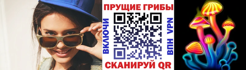 Галлюциногенные грибы Psilocybe Кубинка